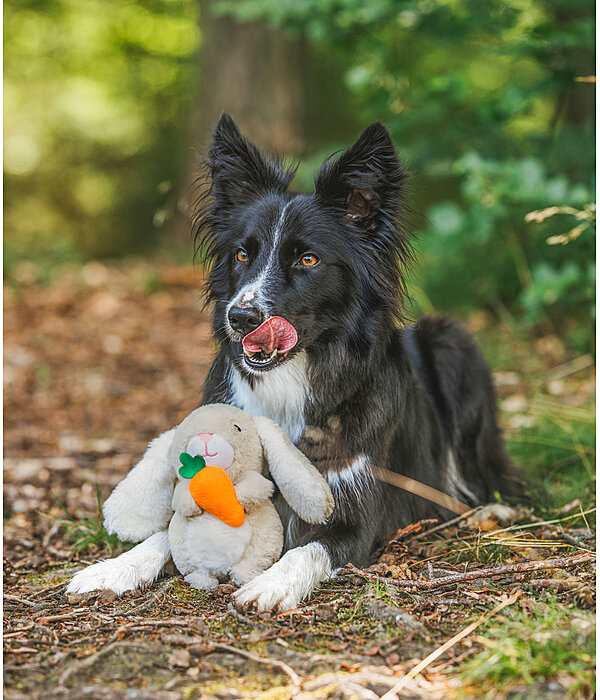 Jouet en peluche pour chien Bunny