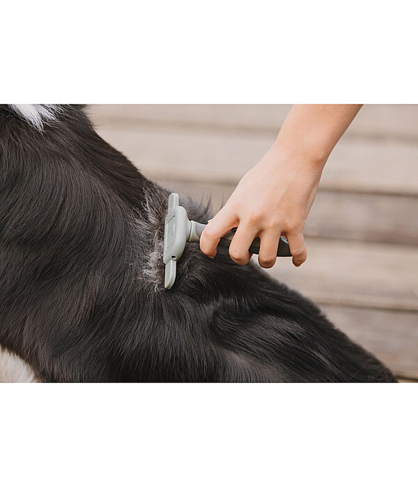 Brosse pour la mue  Furry
