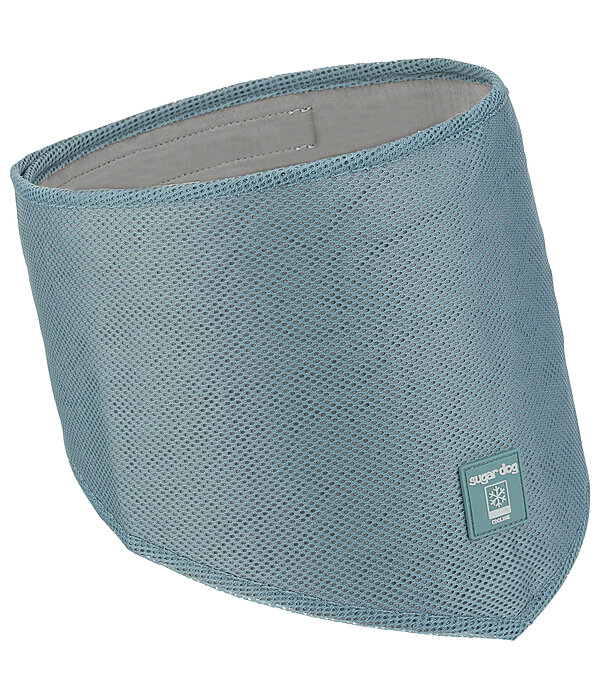 Foulard pour chien  Cooling
