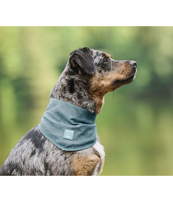 Foulard pour chien  Cooling