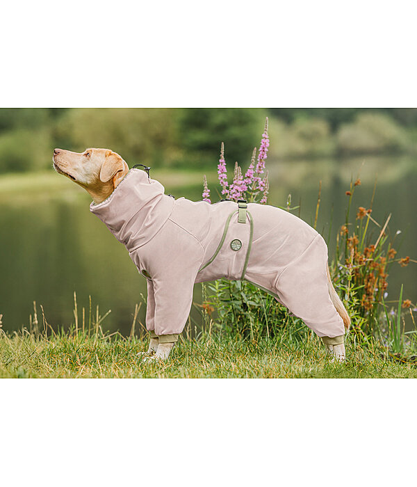 Manteau anti-eczma pour chien  Tropen