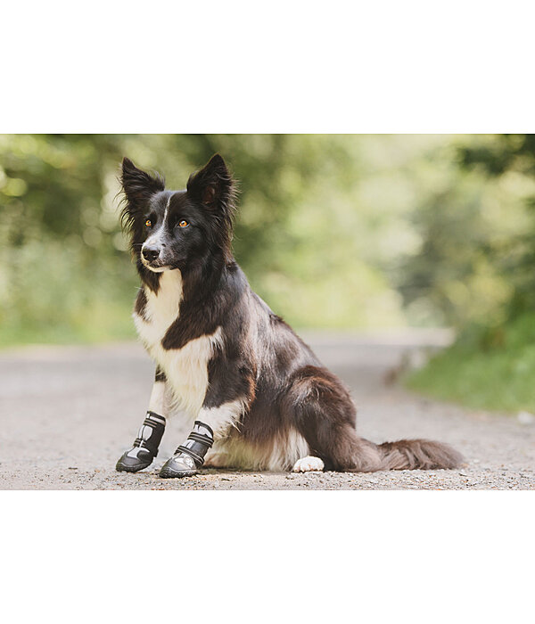 Chaussons pour chien  Dubai
