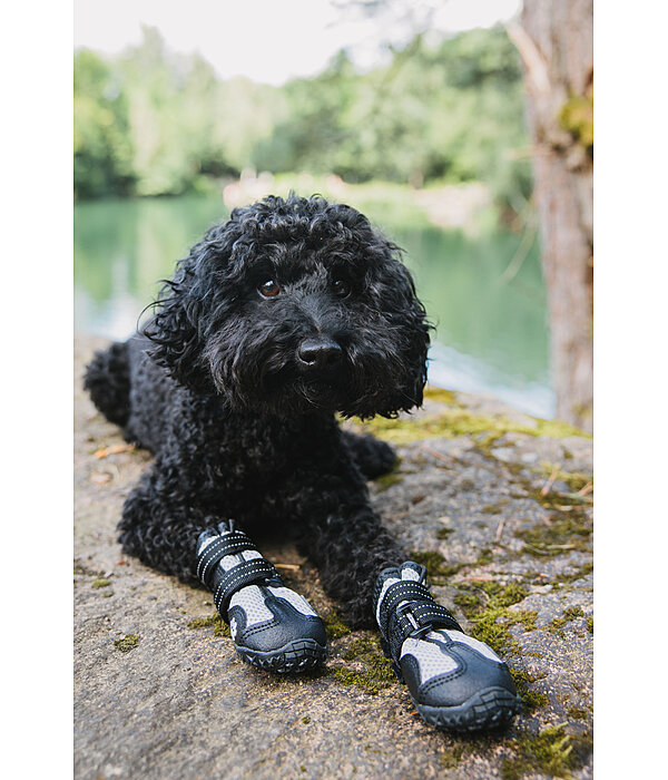 Chaussons pour chien  Dubai