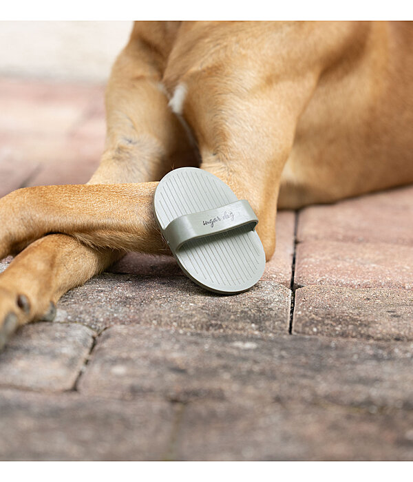 Brosse pour chien  Zeyna