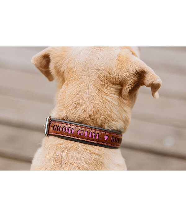 Collier pour chien en cuir  Good Dog