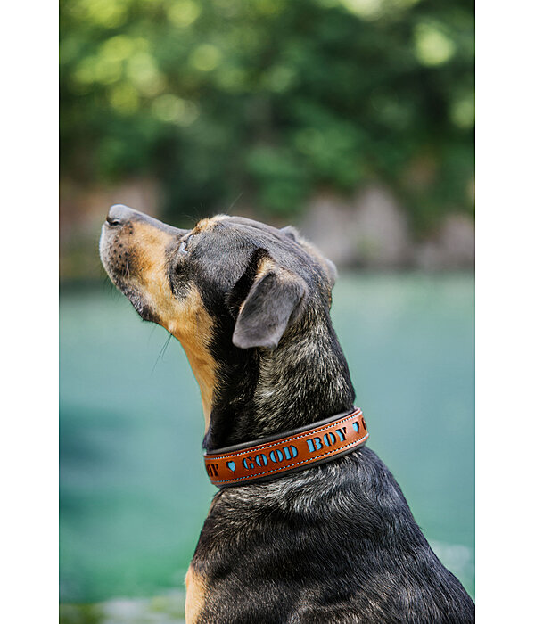 Collier pour chien en cuir  Good Dog