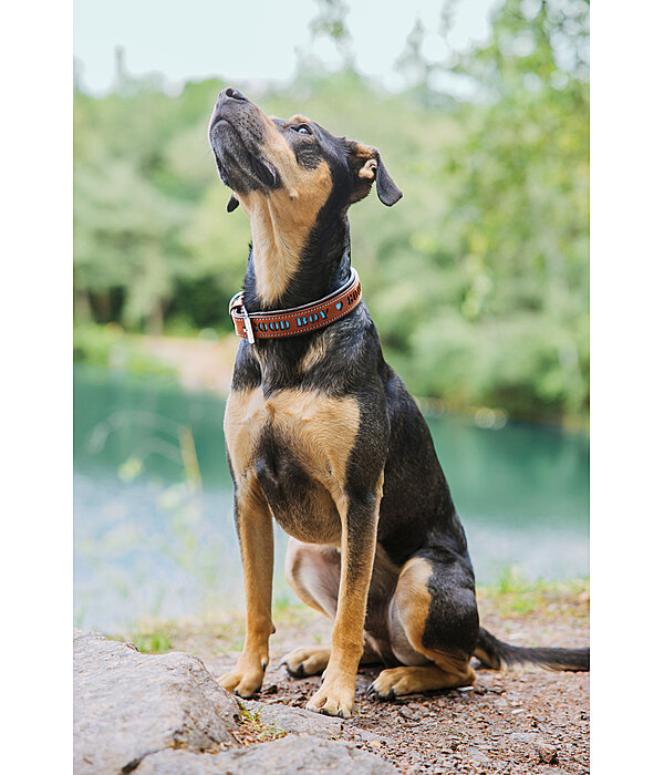 Collier pour chien en cuir  Good Dog
