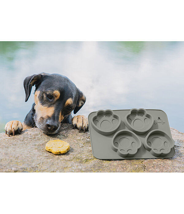 Moule  gateau pour chien en silicone