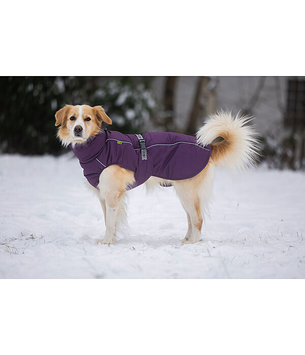 Manteau d'hiver pour chien  Marlon, 200-300 g