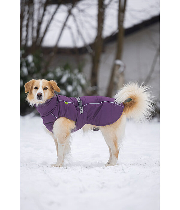 Manteau d'hiver pour chien  Marlon, 200-300 g