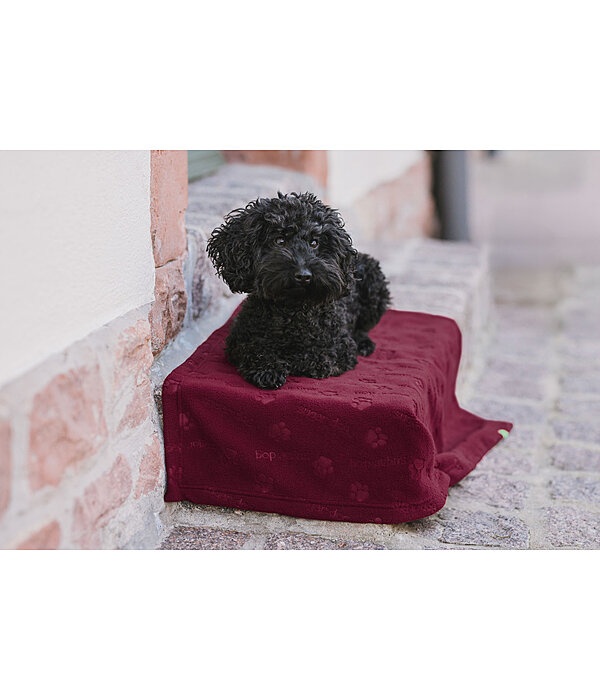 Couverture polaire  Charly