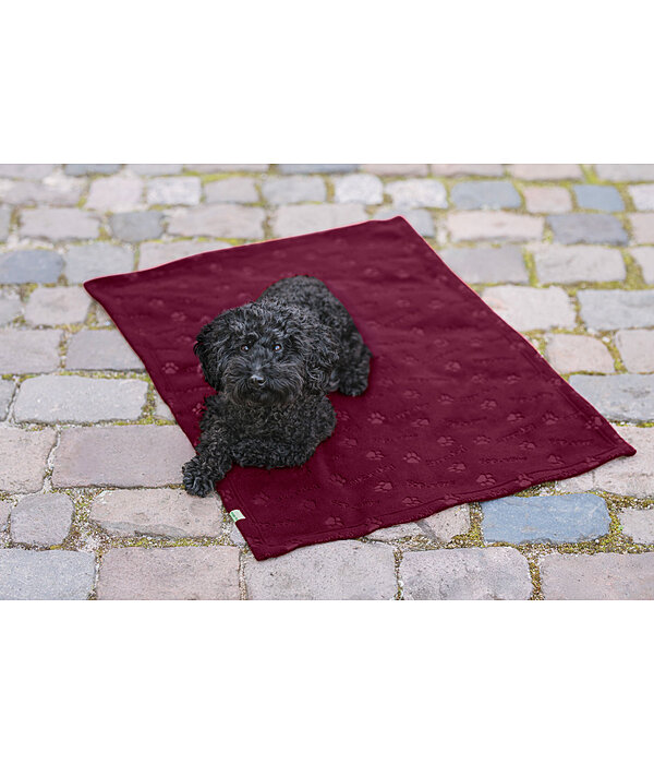 Couverture polaire  Charly