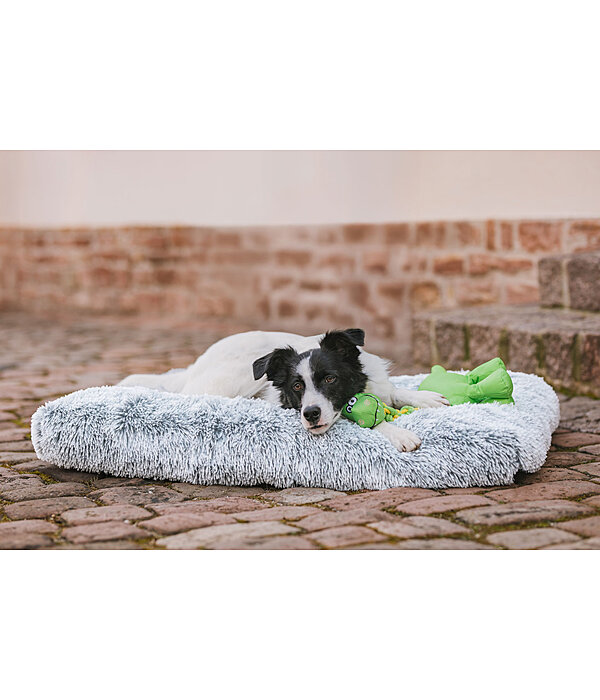 Lit pour chien  Marlie