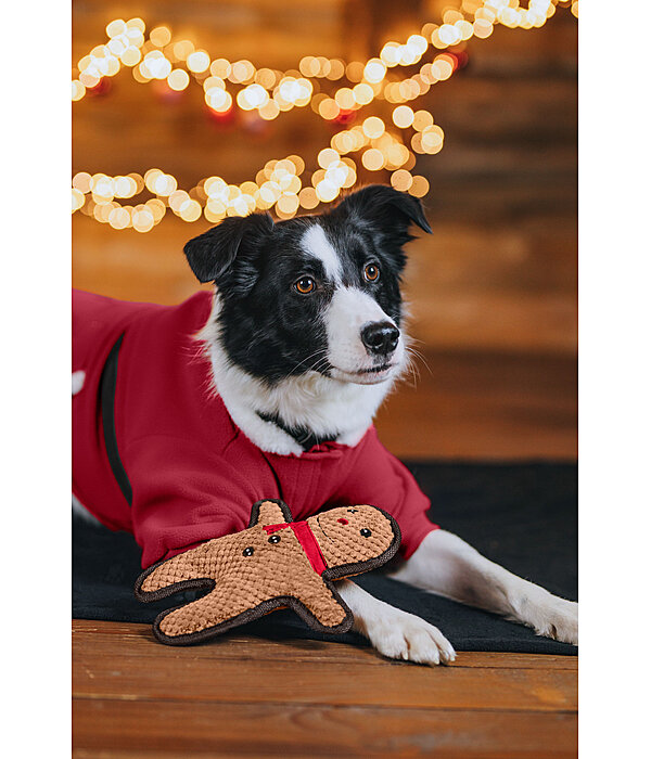 Jouet pour chien  Gingerman