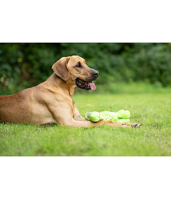 Jouet pour chien  Strong Dino