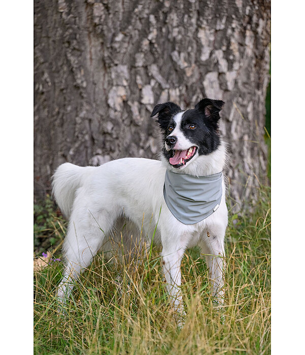 Bandana rafra�chissant  Frostie