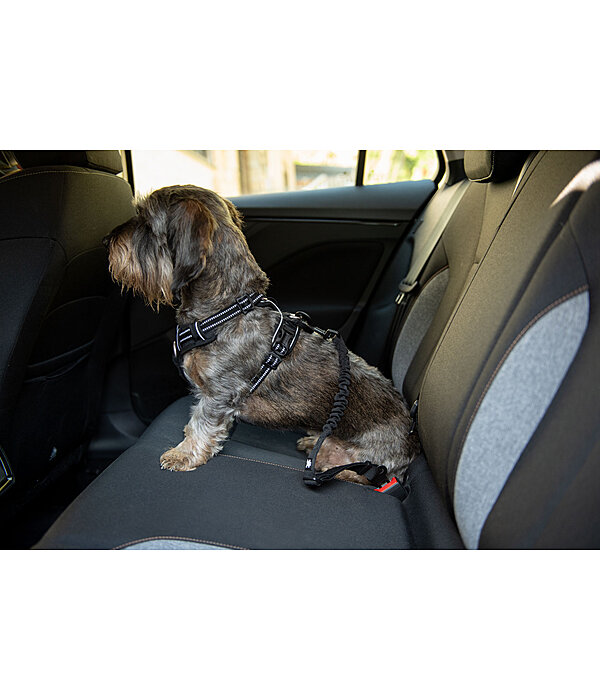 Ceinture de s�curit� pour chien