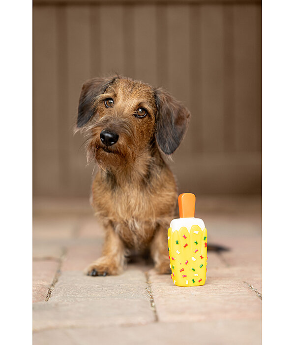 Jouet couineur  glace