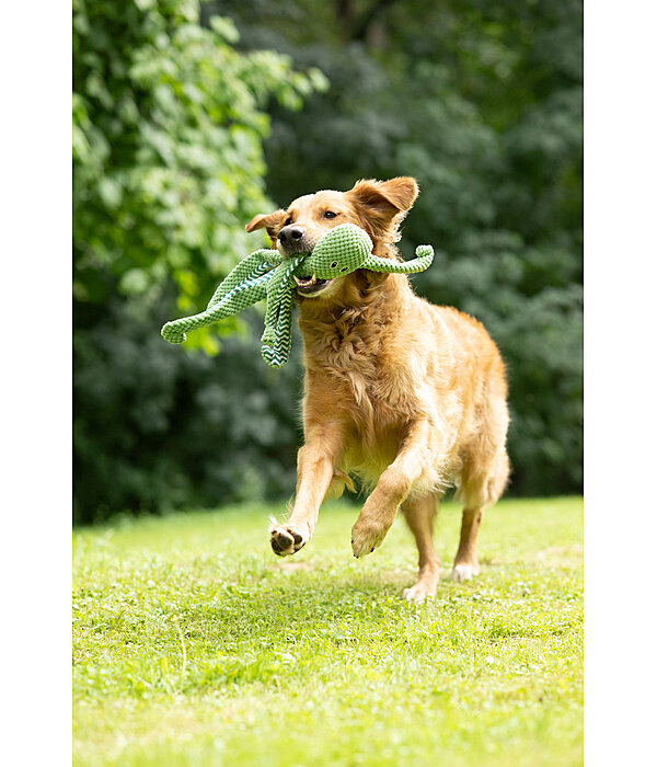 Jouet pour chien  Octopus
