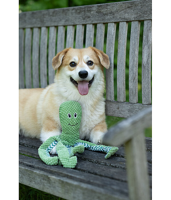Jouet pour chien  Octopus