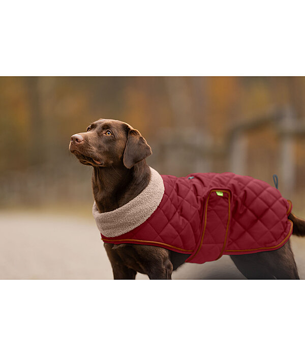Manteau matelass� pour chien avec doublure en polaire Teddy  Holly