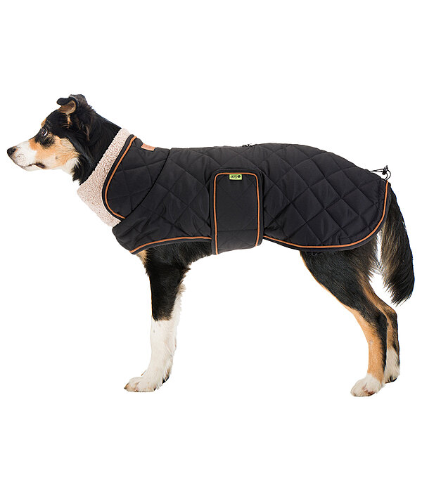 Manteau matelass� pour chien avec doublure en polaire Teddy  Holly