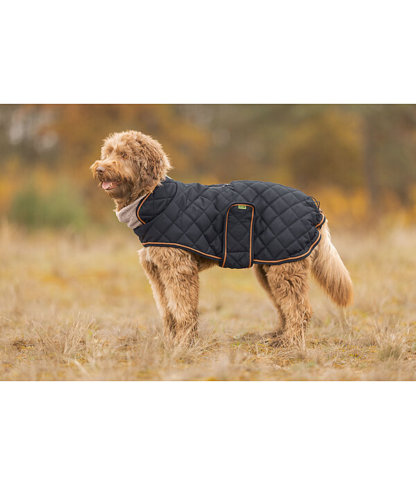 Manteau matelass� pour chien avec doublure en polaire Teddy  Holly