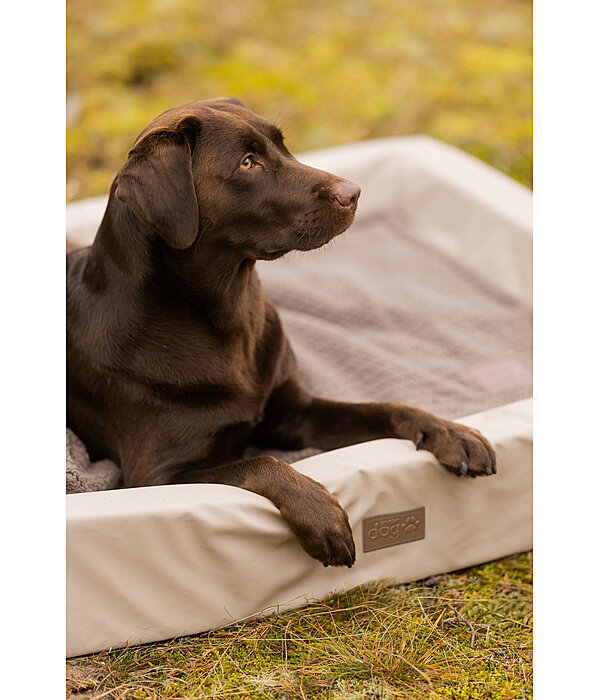 Lit pour chien  Komet