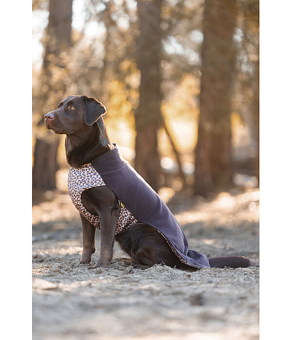 Pullover polaire pour chien  Basic