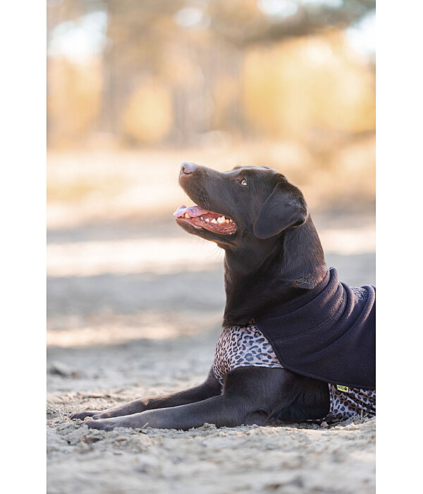 Pullover polaire pour chien  Basic