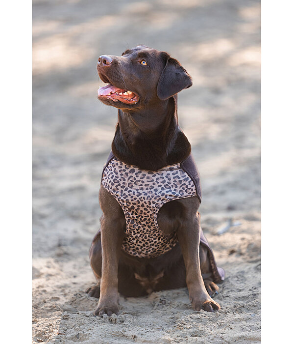 Pullover polaire pour chien  Basic