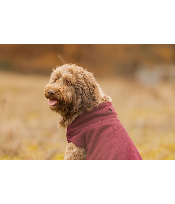 Pullover polaire pour chien  Basic