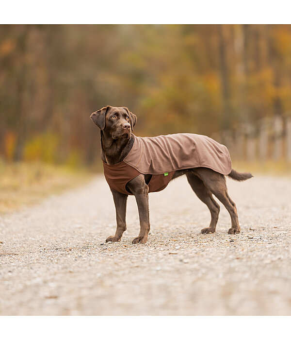 Pullover polaire pour chien  Basic