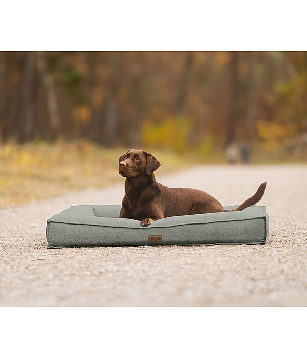 Lit pour chien  Carlo