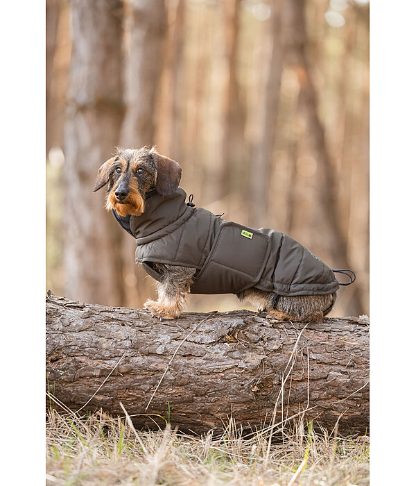 Manteau d'hiver pour teckel  Henry 200 g