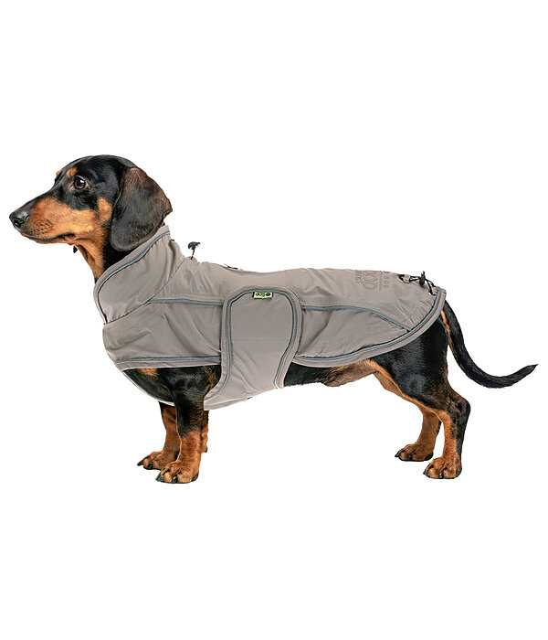 Manteau de pluie pour teckel  Winston