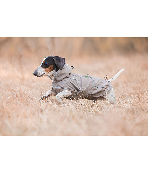 Manteau de pluie pour teckel  Winston
