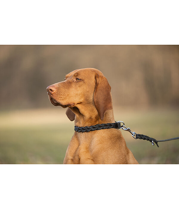 Laisse pour chien en cuir  Adams