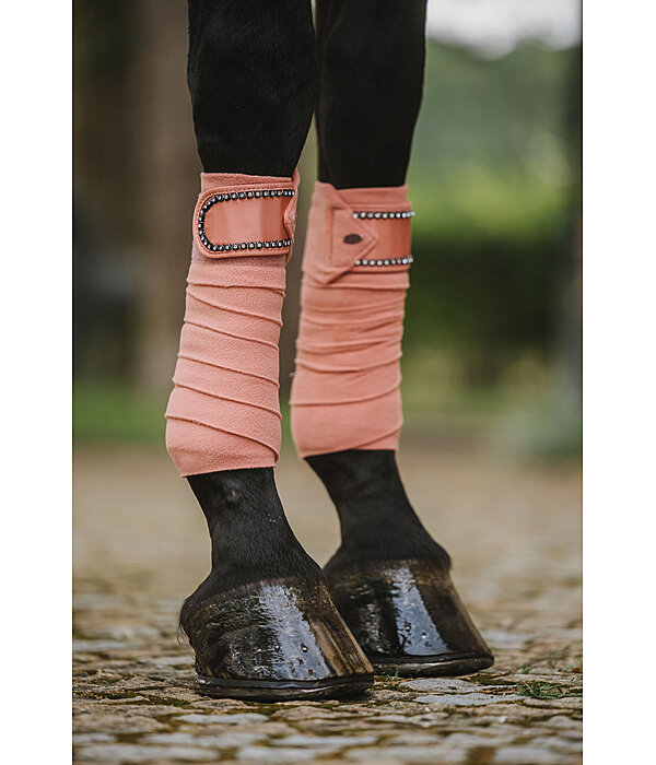 Bandes en polaire  Brilliant