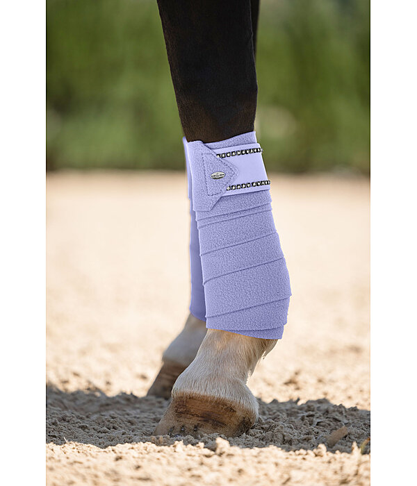Bandes en polaire  Brilliant