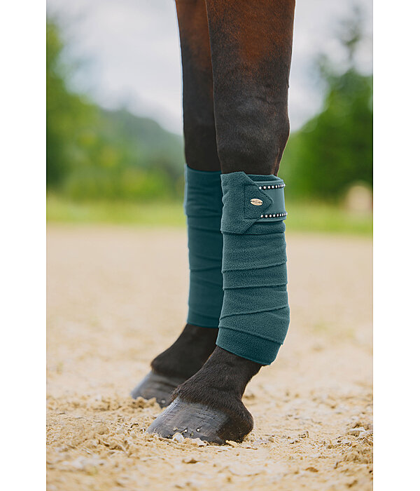Bandes en polaire  Brilliant