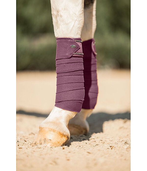 Bandes en polaire  Brilliant