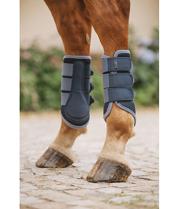 Gu�tres fonctionnelles  Swiss Design (Post�rieurs)