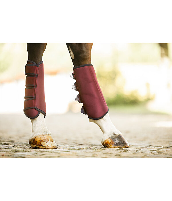 Gu�tres de dressage  Twotone (post�rieurs)
