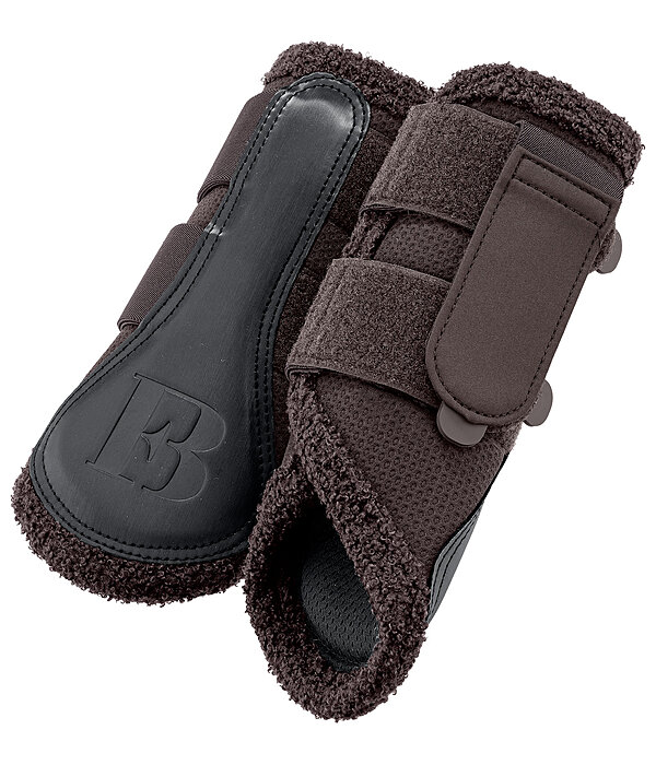 Gu�tres  Teddy, ant�rieurs