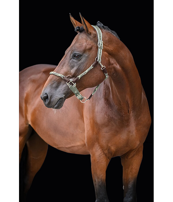 Licol anatomique  Sophistication