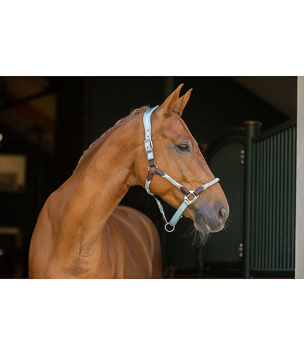 Licol anatomique  Sophistication