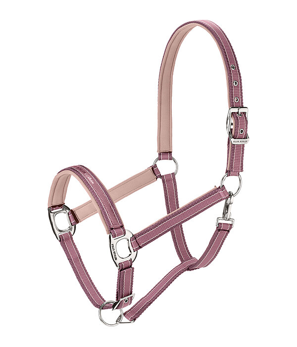 Licol  Essential II