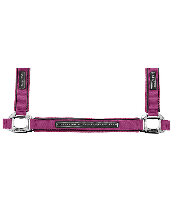 Licol  Mesh-Technology