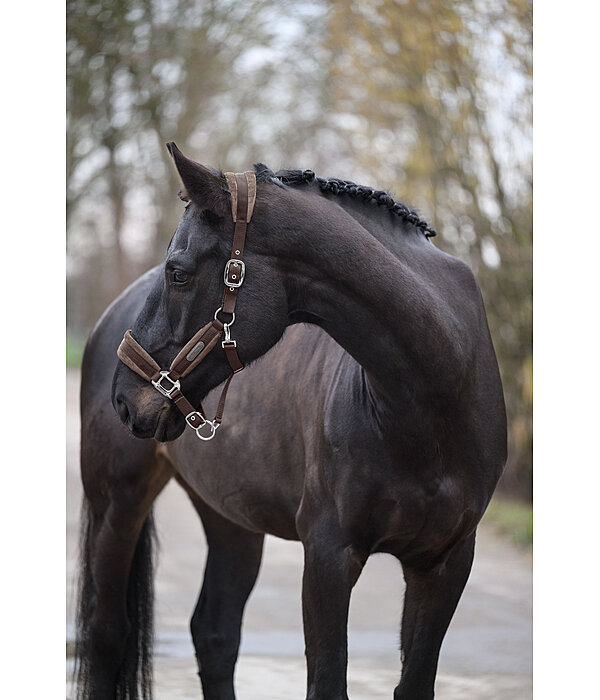 Licol  Velvet